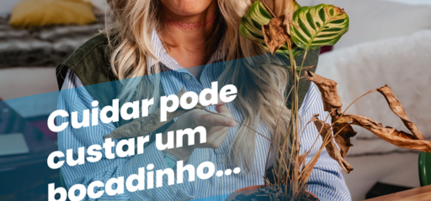 Campanha Maxfinance ganha prémios de criatividade Lusófonos 